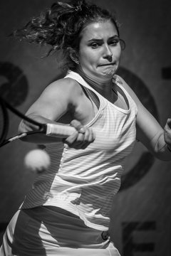 Ausschnitte 1978 - NL TC RW Wahlstedt - Harvesterhuder THC : Ergebnis: 5:4